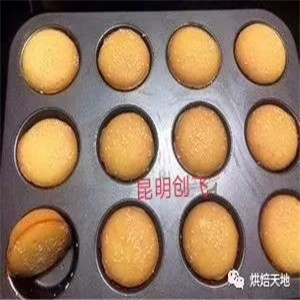 從入門(mén)到創(chuàng)業(yè) 網(wǎng)紅西點(diǎn)蛋糕學(xué)習(xí)指南與甜味烘焙產(chǎn)品進(jìn)階之路